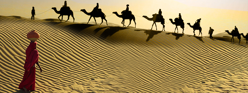 Film Video Production House Rann Of Kutch Film Video Production House Rann Of Kutch